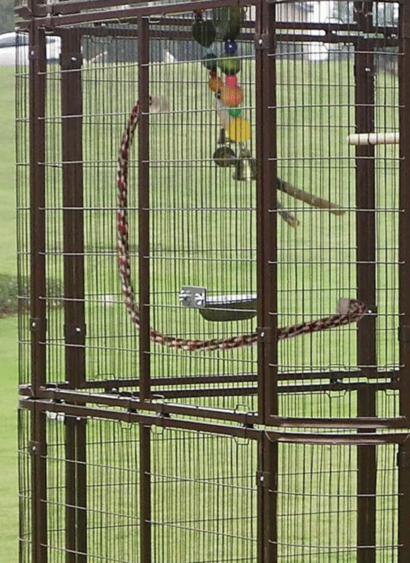 outdoor bird aviaries